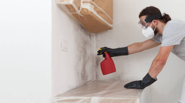 Professional Attic Mold Removal technician working in Melville, NY